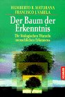 Maturana Baum der Erkenntnis